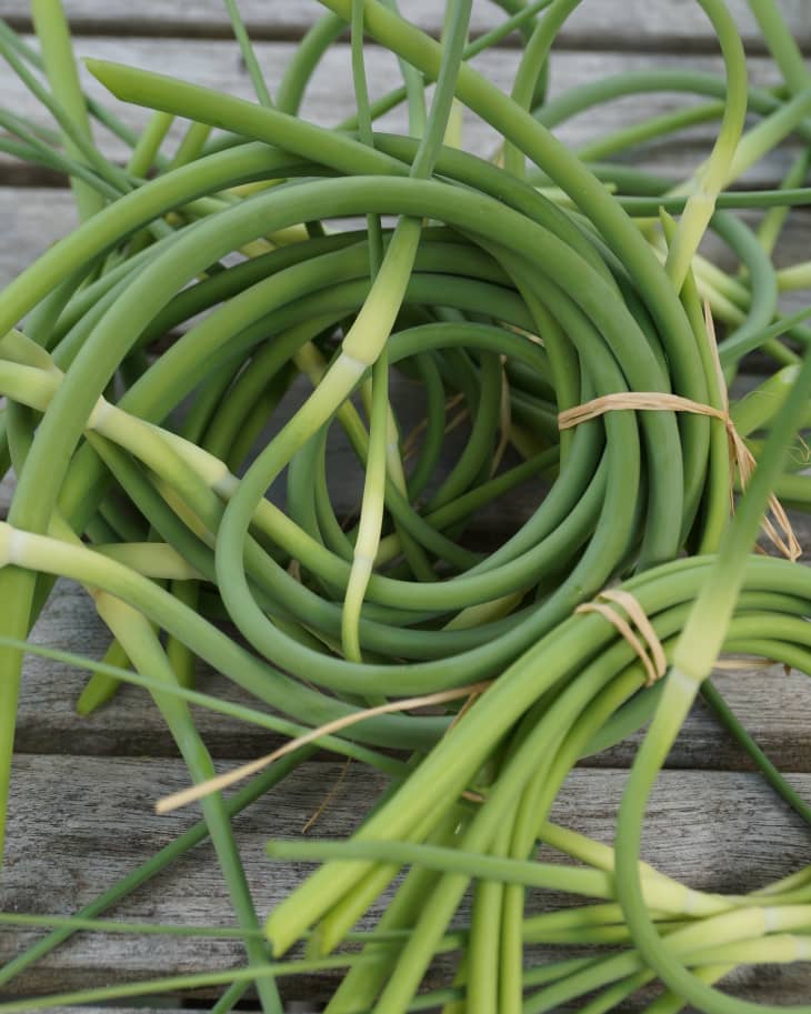 What's the Difference Green Garlic and Garlic Scapes? The Kitchn