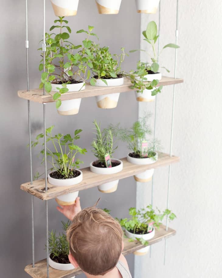 Kitchen herb hotsell shelves