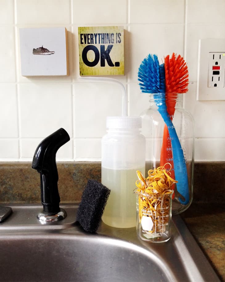 A Guide to the Great and Mighty Kitchen Scrub Brush The Kitchn