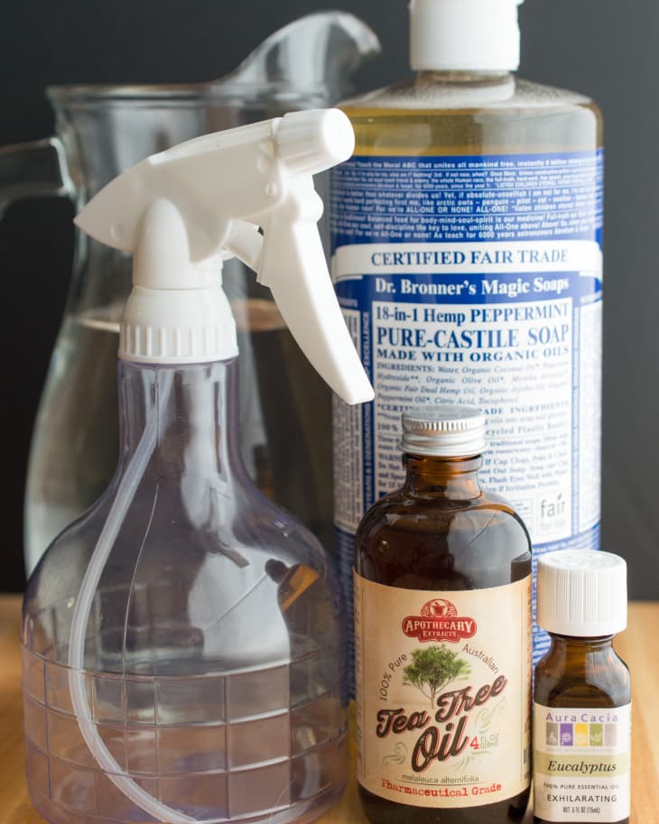 Diy ant repellent deals