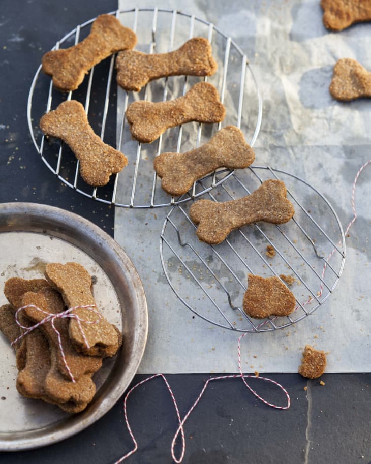 The cookie deals rookie dog treats