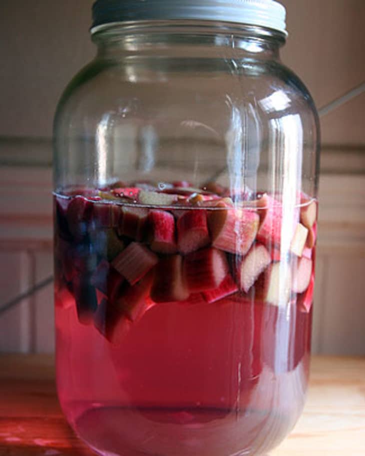 Recipe Rhubodka (Rhubarb Vodka) The Kitchn