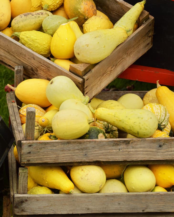 Mother Nature’s Little Joke on Pasta Spaghetti Squash The Kitchn