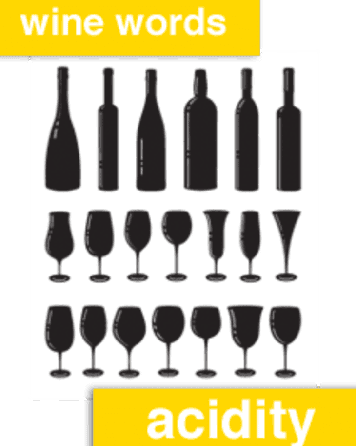 Wine Words Acidity The Kitchn