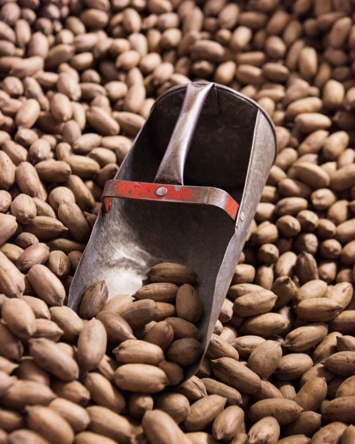 The Family Story of Tucker Pecans in Montgomery, Alabama The Kitchn