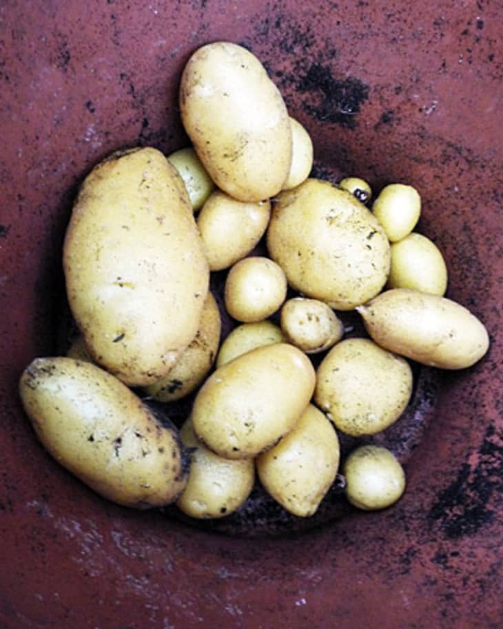 What’s the Difference? New vs. Fingerling Potatoes The Kitchn