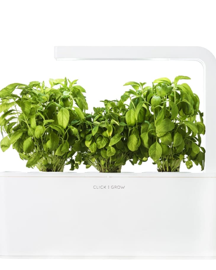 Does the Click and Grow Garden System Actually Work? The Kitchn