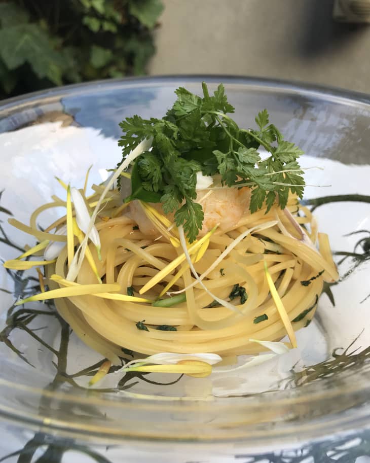 Plate pasta new arrivals