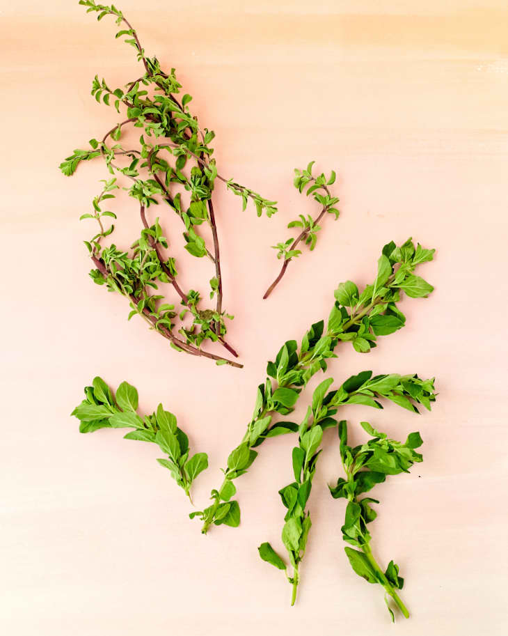 What’s the Difference Between Oregano and Marjoram? The Kitchn
