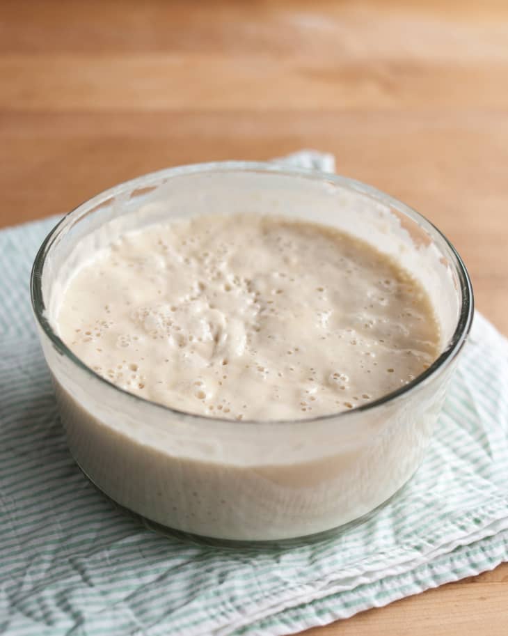 The Top 5 Sourdough Starter Questions, Answered The Kitchn