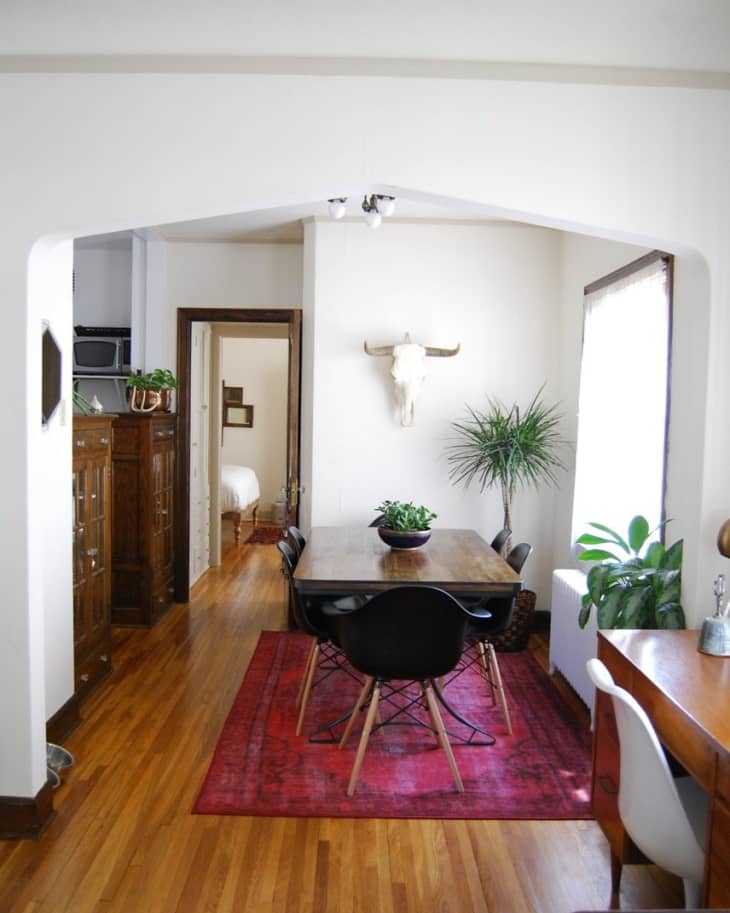 Dining room with wooden table, black chairs, red rug, and wall-mounted bull skull, flanked by plants and wooden cabinets.