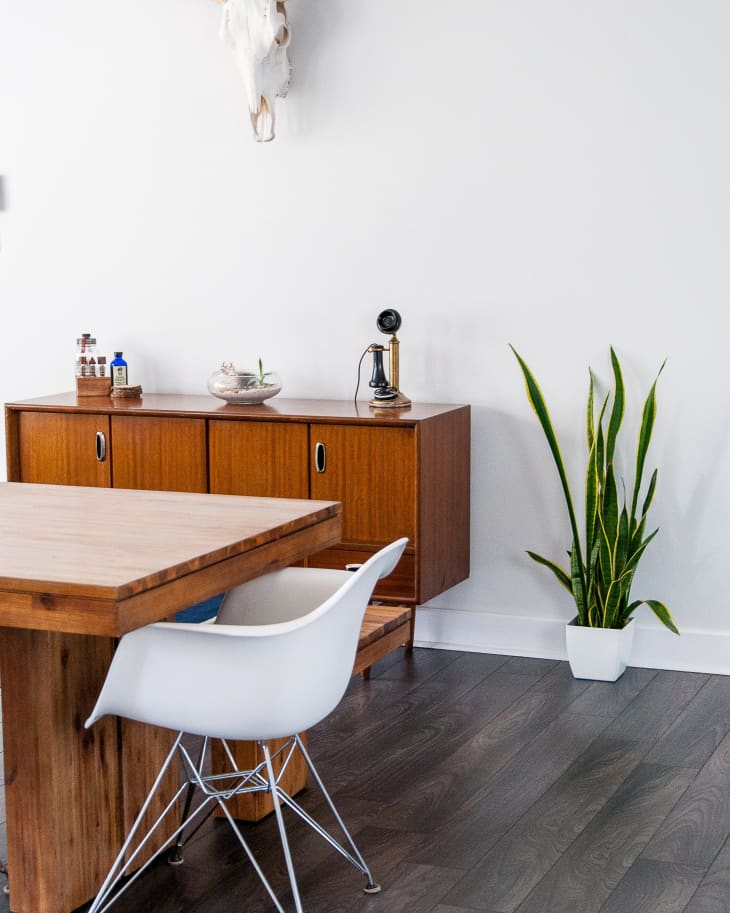 Mid-century modern dining area with wooden table, white chair, sideboard, plant, and wall-mounted longhorn skull.