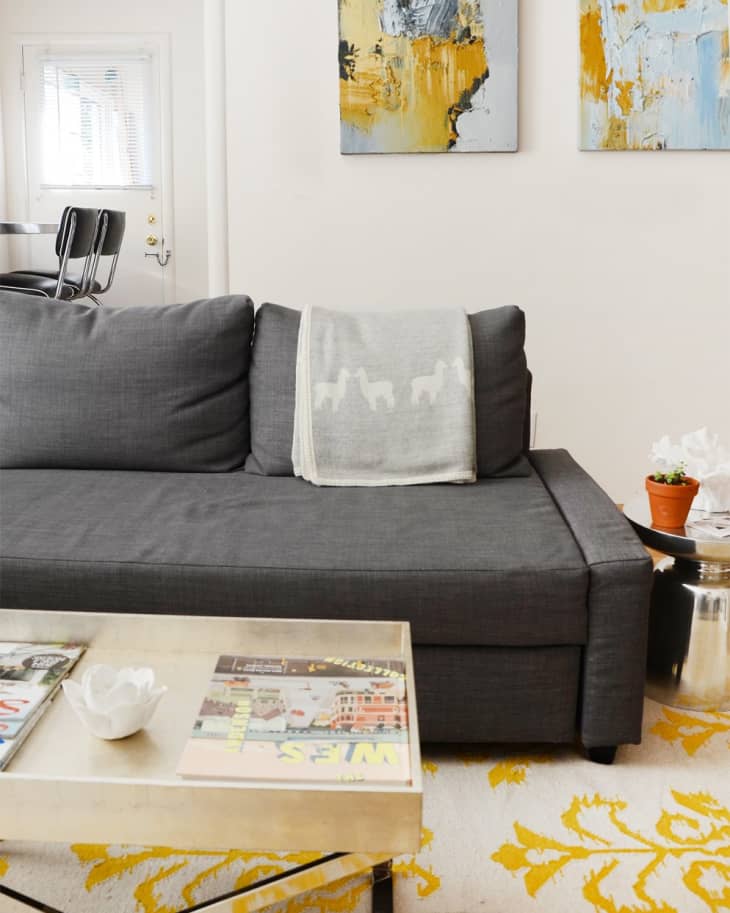 Gray sofa with llama blanket, abstract art on walls, glass coffee table with magazines, and a small potted plant.