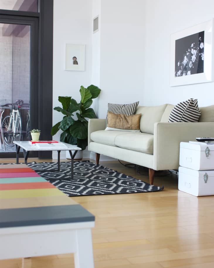 Living room with cream sofa, patterned cushions, black and white rug, potted plant, and wall art.