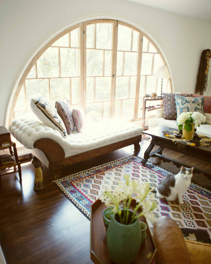 Cozy living room with arched window, tufted daybed, colorful rug, wooden table, and a cat sitting on the floor.