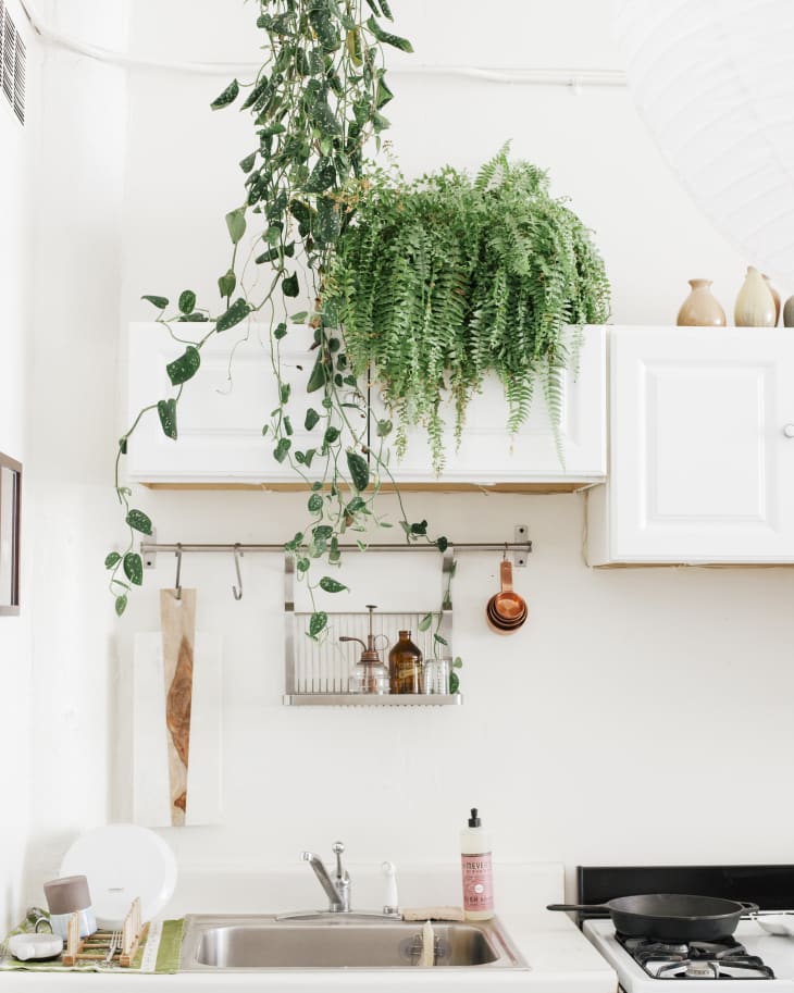 10 Ways to Reset Your Kitchen for the New Year | The Kitchn