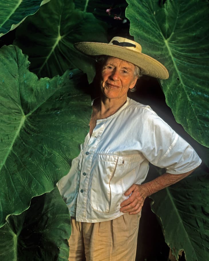 diana kennedy with leaves