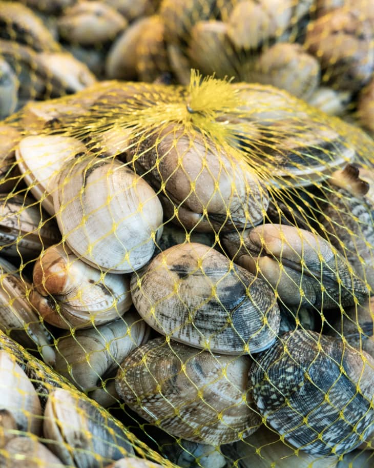 Fresh clams on mesh bag for sale in the market. Bivalve mollusk from Galicia, Spain. Venerupis pullastra