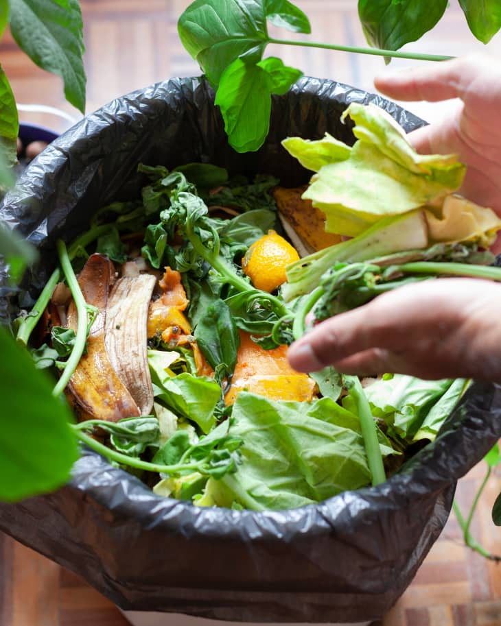 Someone using leftover organic food for compost avoiding waste and recycling