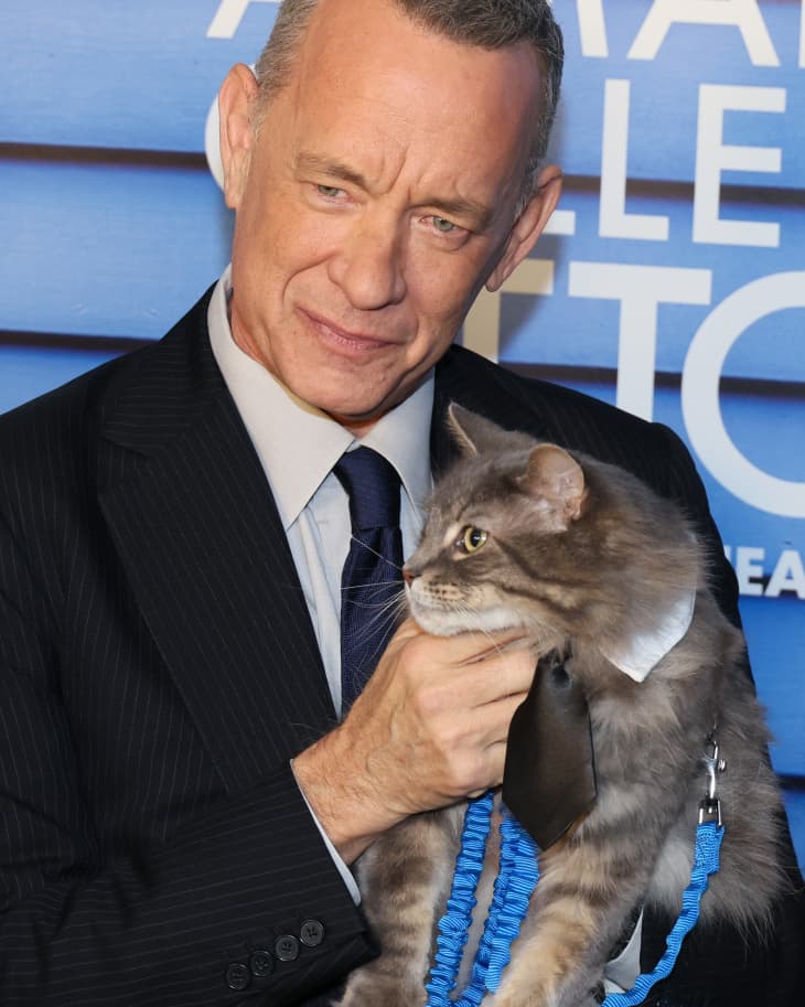 NEW YORK, NEW YORK - JANUARY 09: Tom Hanks and Smeagol the cat attend the "A Man Called Otto" New York Screening at Dot Dash Meredith on January 09, 2023 in New York City. (Photo by Dia Dipasupil/Getty Images)