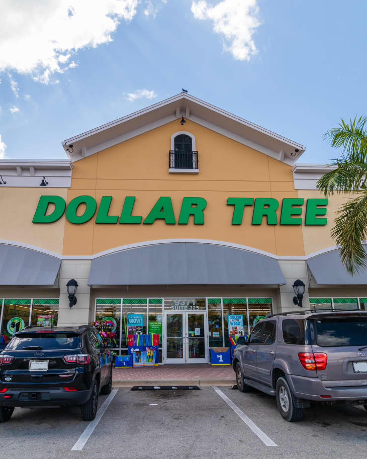 The Difference Between Dollar Tree and Dollar General