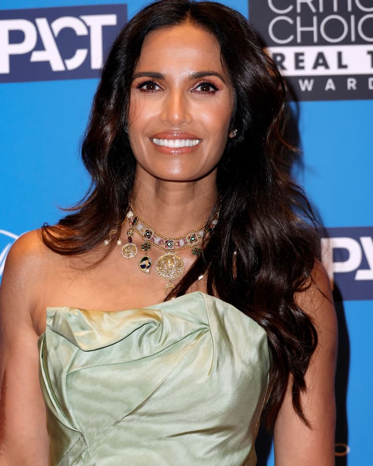 Padma Lakshmi's Daughter Interrupting Her Cooking Video is the Funniest