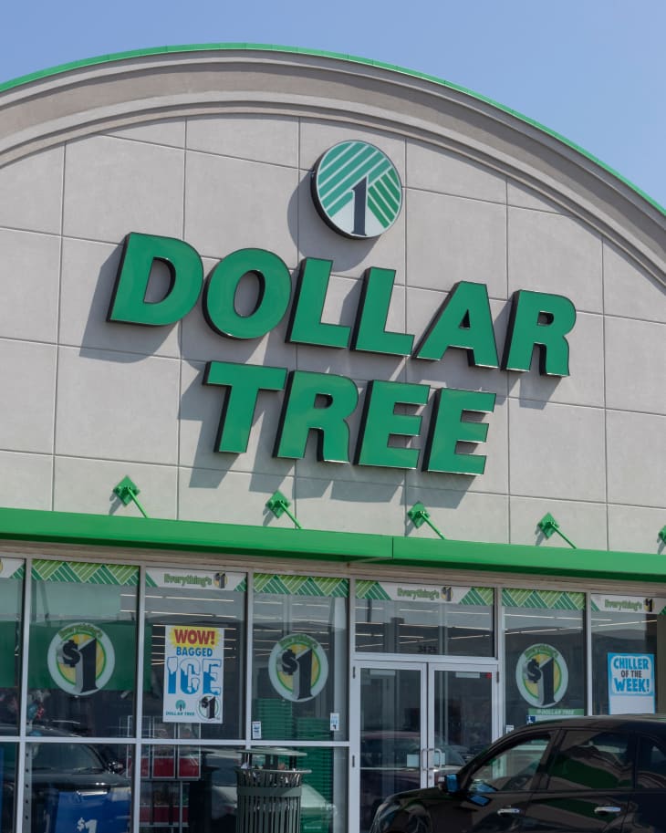 3 Best Frozen Appetizers To Buy at Dollar Tree The Kitchn