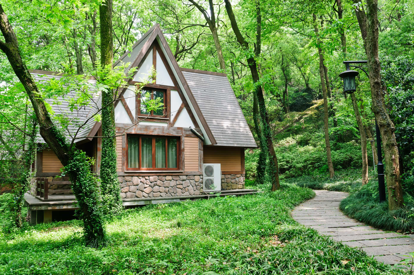 6 Things You Should Really Ask Before Buying a Home on a Wooded Lot