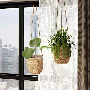 Our Favorite Rattan Planters and Plant Stands For Spring 2022 | Apartment  Therapy