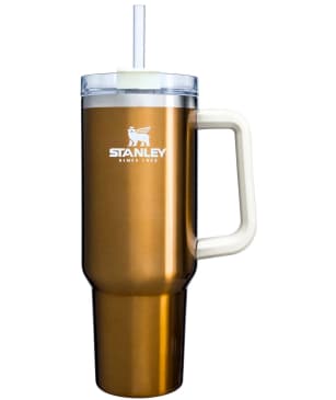 The Cult-Favorite Gold Stanley Quencher Is Now Available on Amazon | The  Kitchn