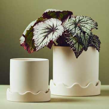 Anthropologie's Pissaro Scalloped Ceramic Pot Is Whimsical | Apartment  Therapy