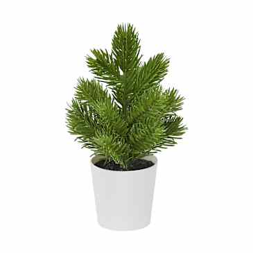 where to buy plant pots Pack of 3 White Minimalist Ceramic Pots, Buy Decorative Plant Pot Online main image 0