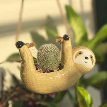8 Best Stylish Indoor Hanging Planters 2023 | Apartment Therapy
