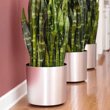 15 Best Places to Buy Planters Online in 2024 | Apartment Therapy
