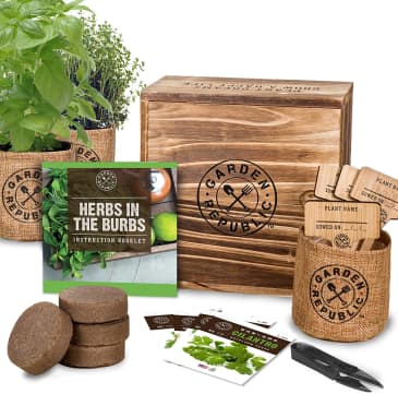 The Best Herb Growing Kits on Amazon in 2023 | The Kitchn