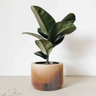 geometric plant pots Geometric Matte Pot 4" Pot