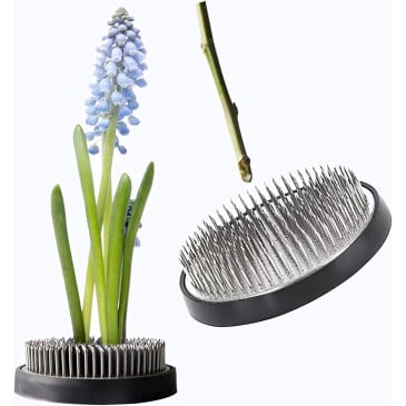 *✾﻿❁︎フローラ ハイミル❁︎ワンダフレンド❁︎✾﻿* JUSTDOLIFE Flower Frog Review 2023 | The Kitchn