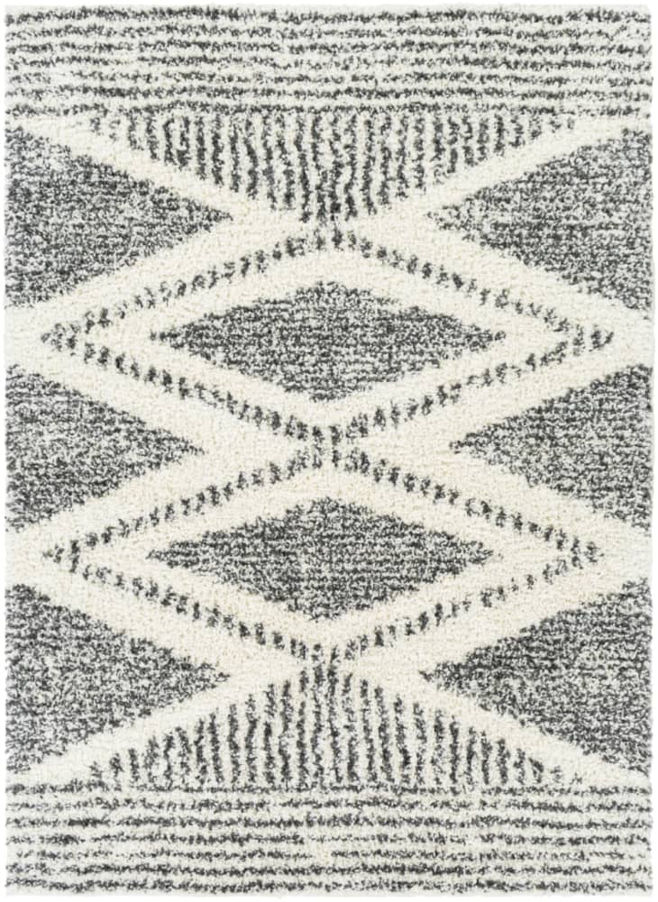 Product Image: Trunding Area Rug, 5'3" x 7'3"