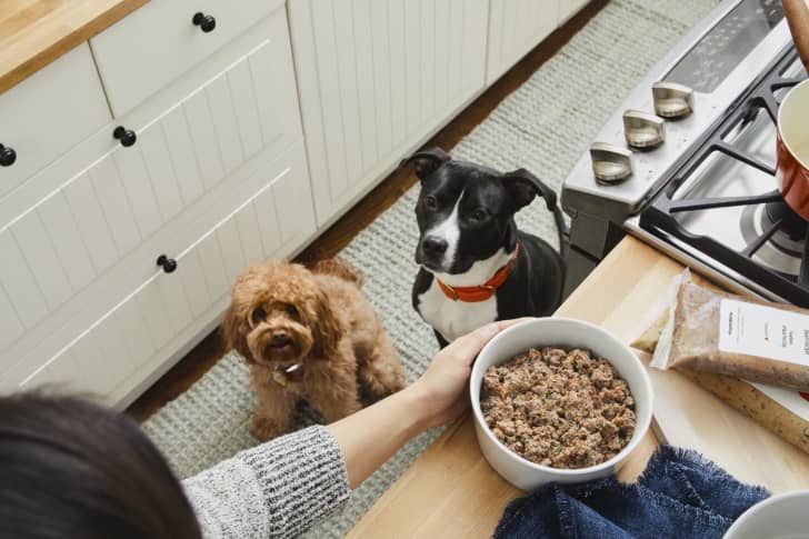 Two dogs in a kitchen eagerly watching a person holding a bowl of pet food near a stove.