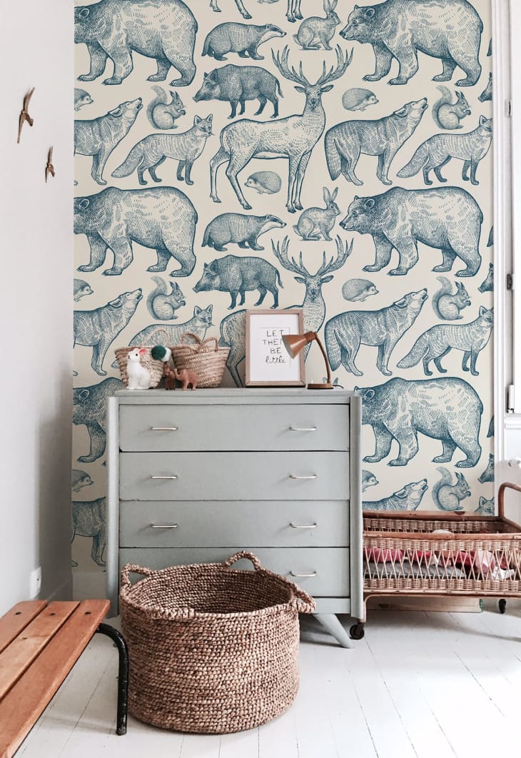 Removable Peel and Stick Wallpaper Ideas for Kids Rooms | Cubby