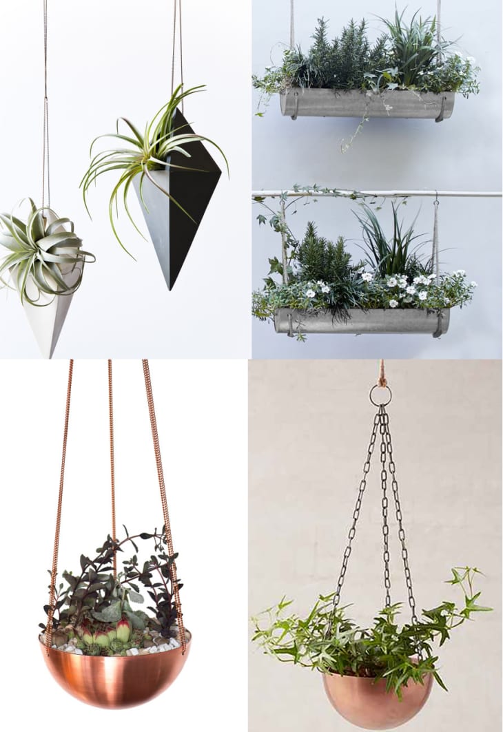 Best Hanging Planters 2016 Apartment Therapy