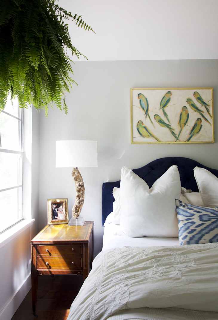 Bedroom with a navy headboard, white bedding, wooden nightstand, lamp, hanging fern, and bird artwork.