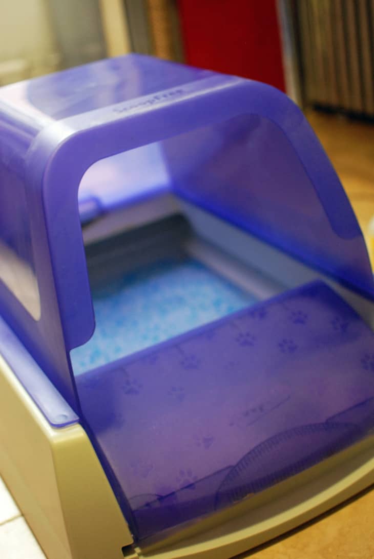 Pet safe store automatic litter box