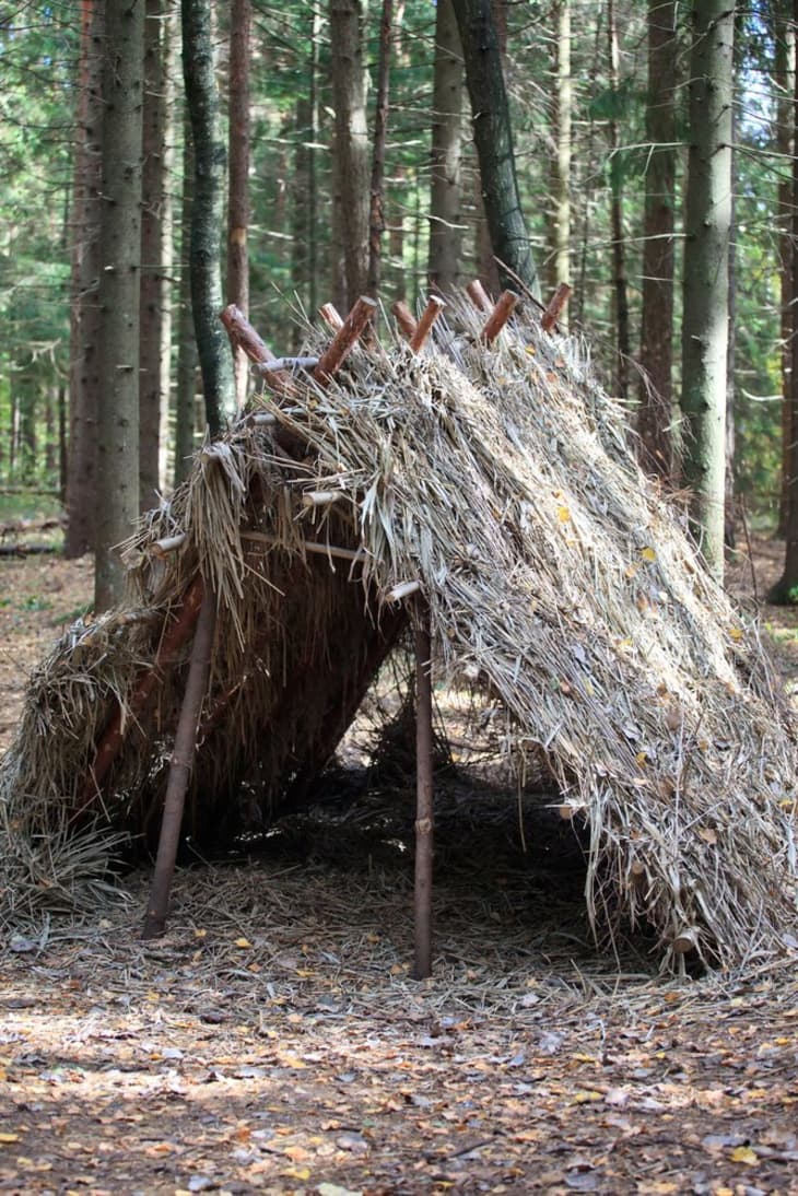 Bushcraft shelter built in the middle of a pine tree forest