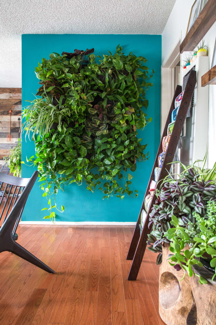 Indoor & Outdoor Planters: Wood, Wall Styles & More