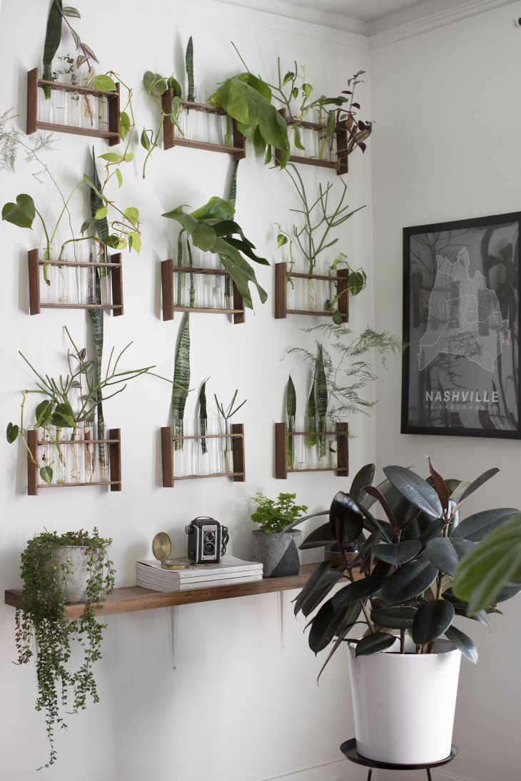 succulent plants in terrarium Succulent Terrarium – Parker Hill Provisions