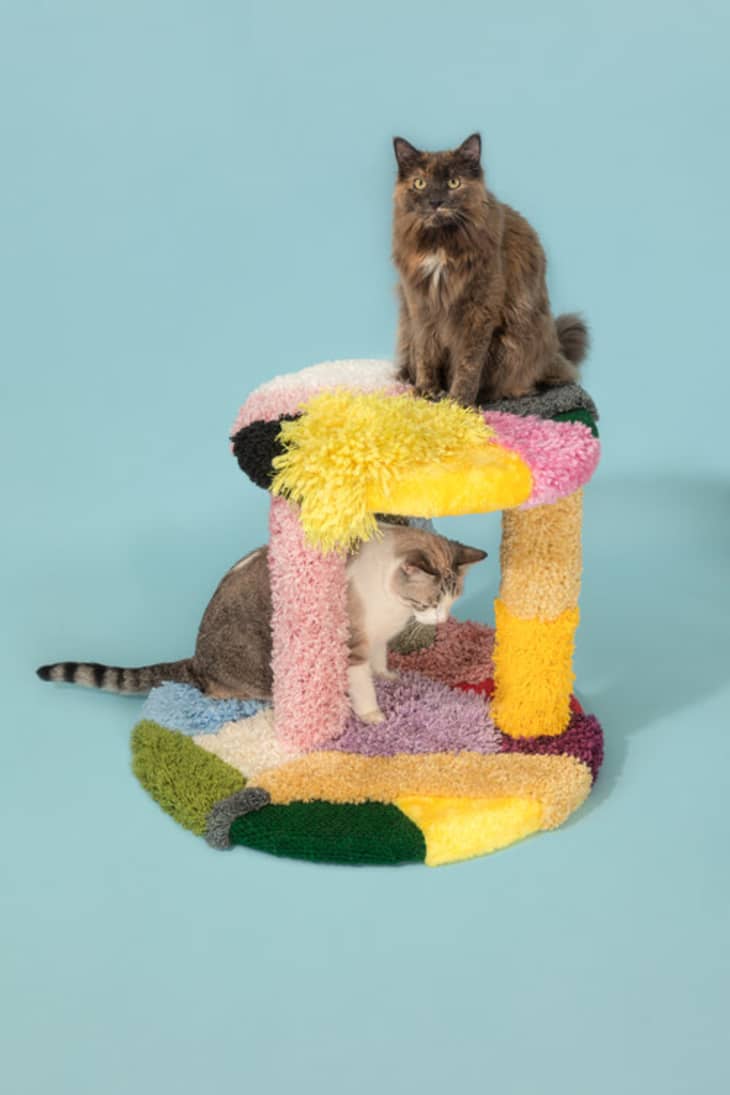 Two cats on a colorful, multi-level cat tree with pastel shaggy textures.