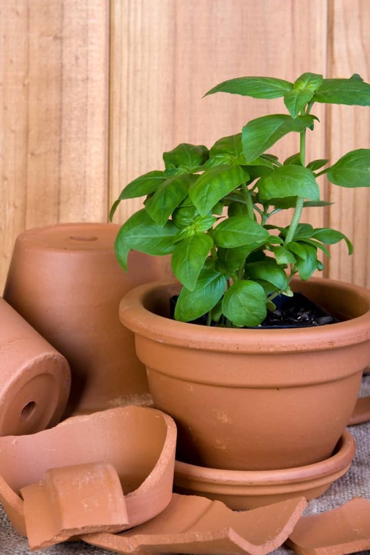 Don’t Throw It Away! 3 Things You Can Do With Your Broken Pots and