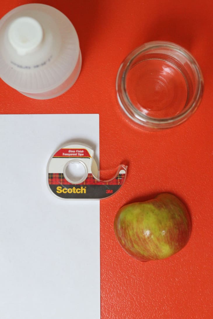 How To Make a Fruit Fly Trap (Paper Cone Hack) Apartment Therapy