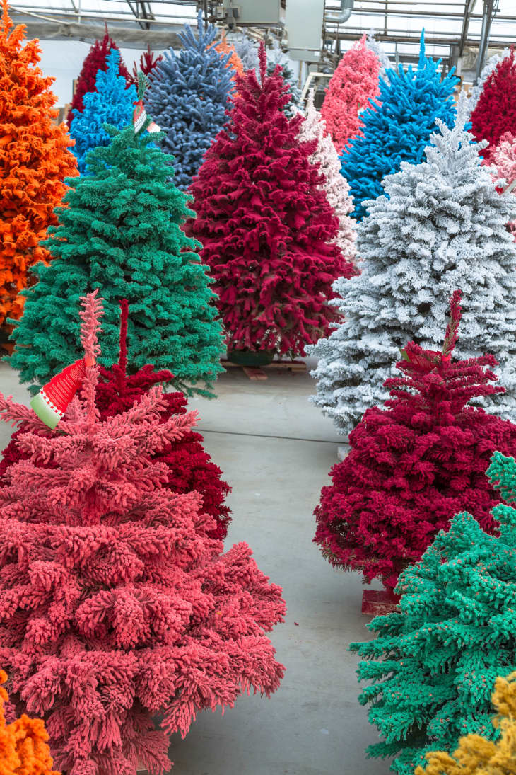 Different color christmas trees deals